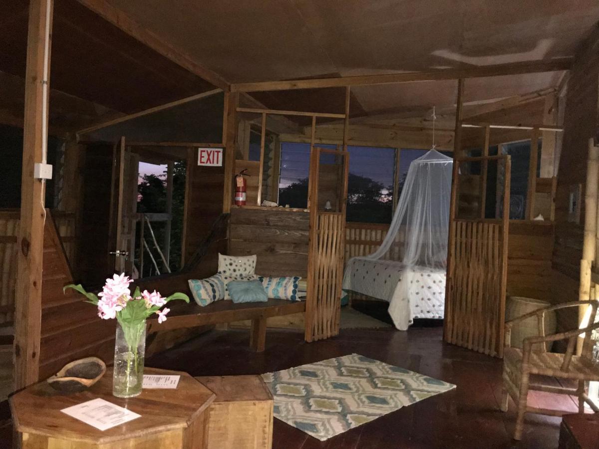 Willa Moringa Ingadi Treasure Beach Zewnętrze zdjęcie